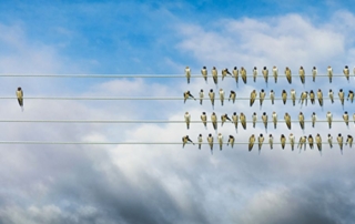 Employee Conflicts of Interest