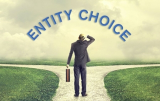 Which Entity is Most Suitable for you Business?