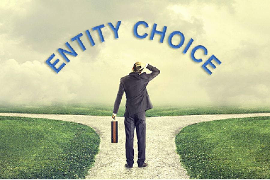 Which Entity is Most Suitable for you Business?