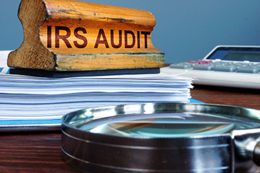 IRS Audit Techniques Guides Available to Taxpayers