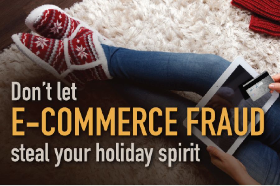 Don't Let E-Commerce Fraud Steal Your Holiday Spirit