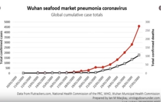 Coronavirus is the Black Swan Feared by Markets