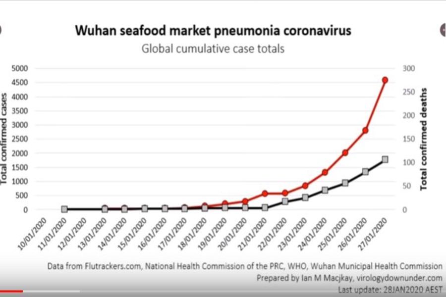 Coronavirus is the Black Swan Feared by Markets