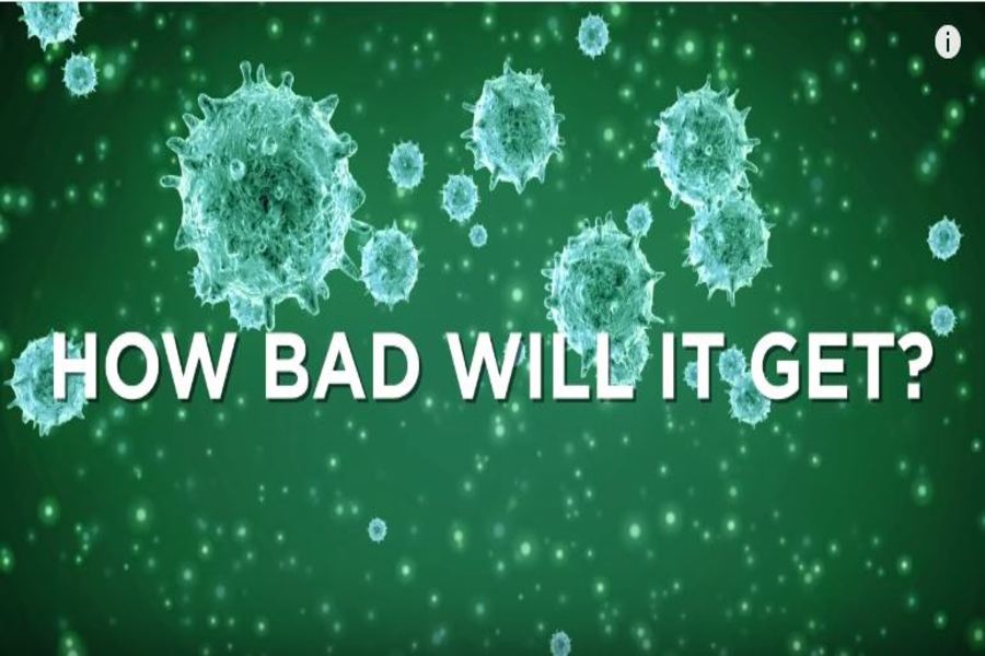 Coronavirus: How Bad Will it Get?