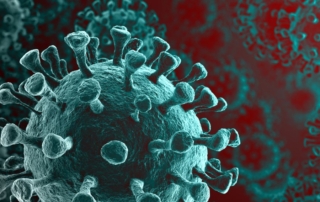 Potential for a Coronavirus Vaccine