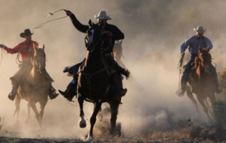 Efforts to Corral Coronavirus Fraud