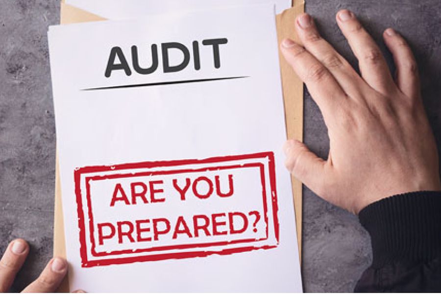 How to Survive an IRS Audit