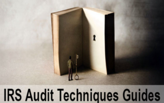 What IRS Auditors Know About Your Business Industry