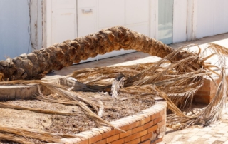 Recent California Bills Up for Vote are Beyond Belief