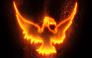 How Phoenix Companies Abuse Bankruptcy Protection and Defraud Investors