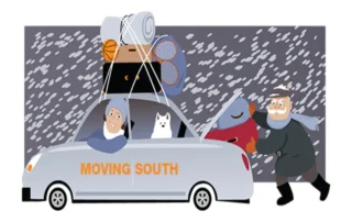 Don't Overlook Taxes When Contemplating a Move to Another State