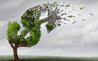 Estimating Damages: Lost Profits vs Diminished Business Value