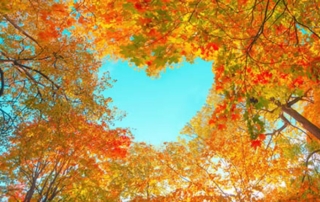 Donating Private Stock? Be Sure to Get a Business Valuation